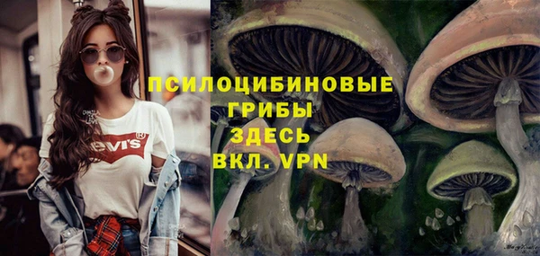 синтетический гашиш Армянск