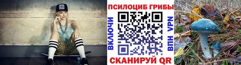 Псилоцибиновые грибы Psilocybe  Константиновск 
